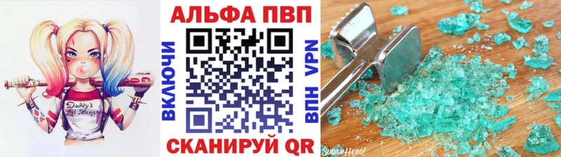 Альфа ПВП СК КРИС  Шали 